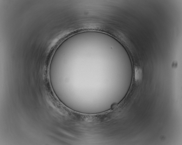 X0000114170579200910081525