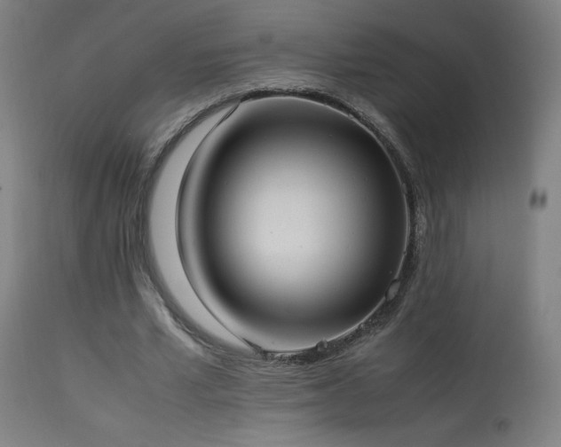 X0000114170581200910081525