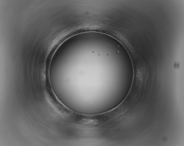 X0000114170582200910081524