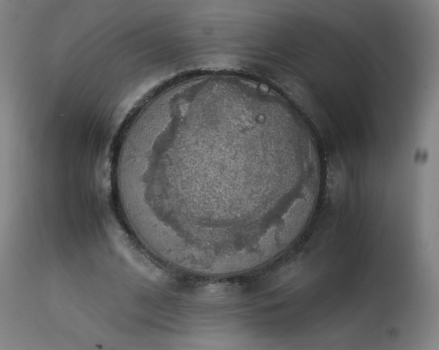 X0000114170584200910081524