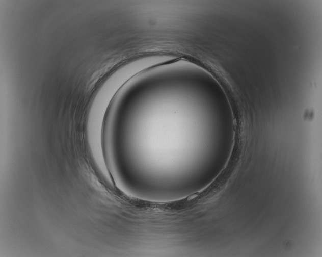 X0000114170585200910081524