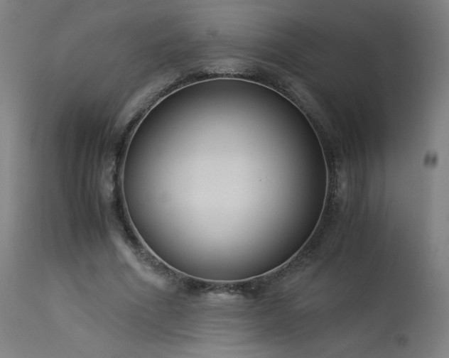 X0000114170586200910081524