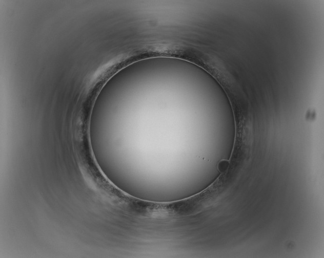 X0000114170587200910081524