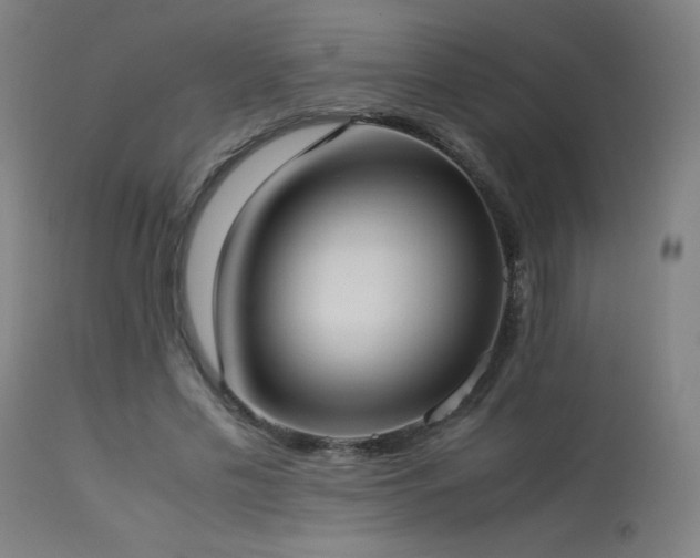 X0000114170589200910081524