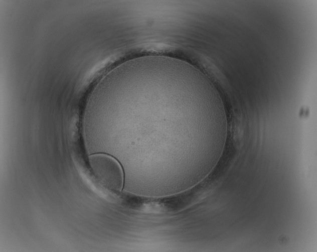 X0000114170591200910081524
