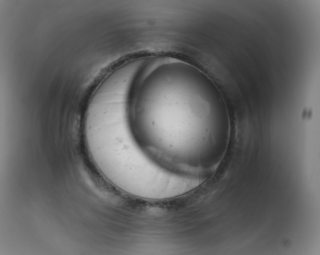 X0000114170592200910081524