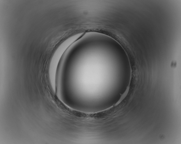 X0000114170593200910081524