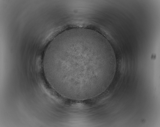 X0000114170594200910081524