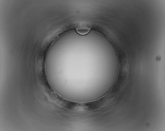 X0000114170595200910081524