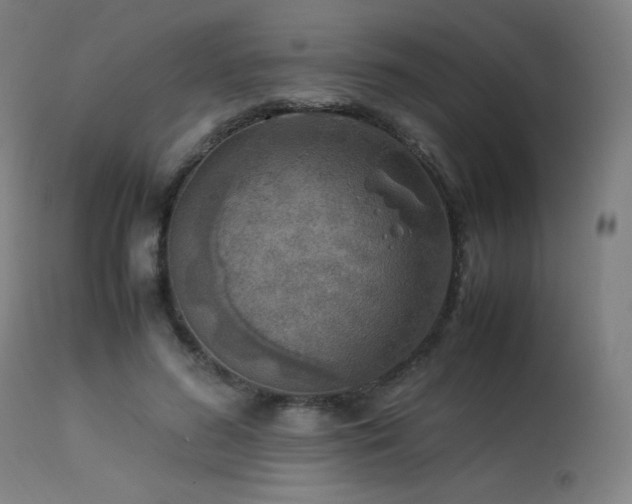 X0000114170596200910081524