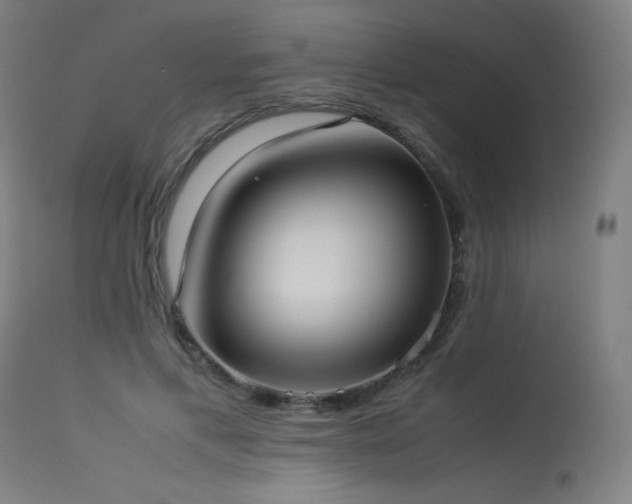 X0000114170597200910081524