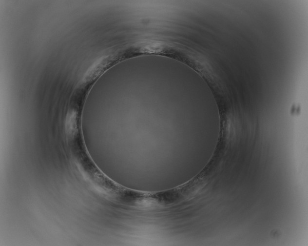 X0000114170598200910081524