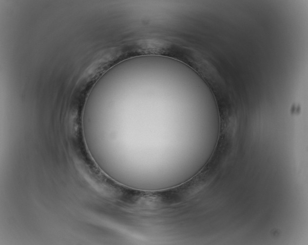 X0000114170599200910081524