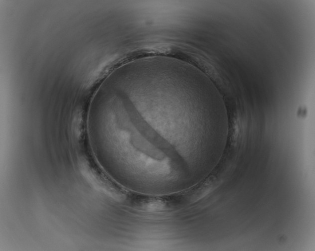 X0000114170600200910081524