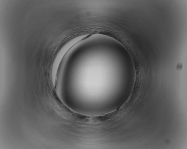 X0000114170601200910081524