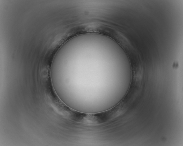 X0000114170603200910081524