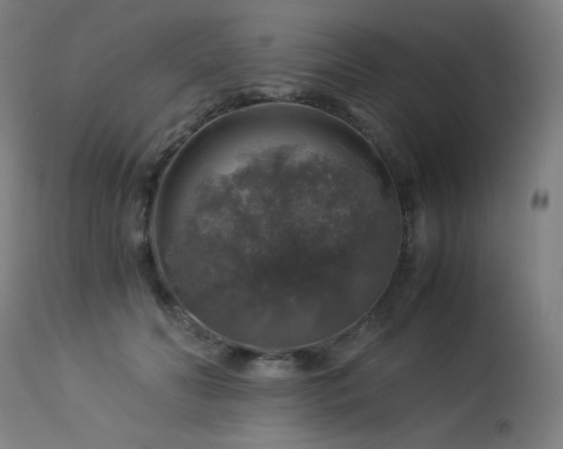X0000114170606200910081524