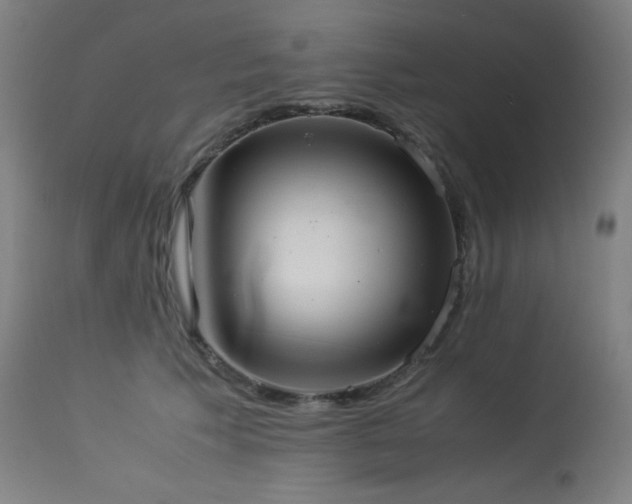X0000114170609200910081524