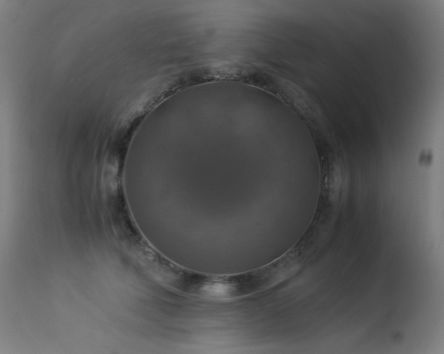 X0000114170610200910081524