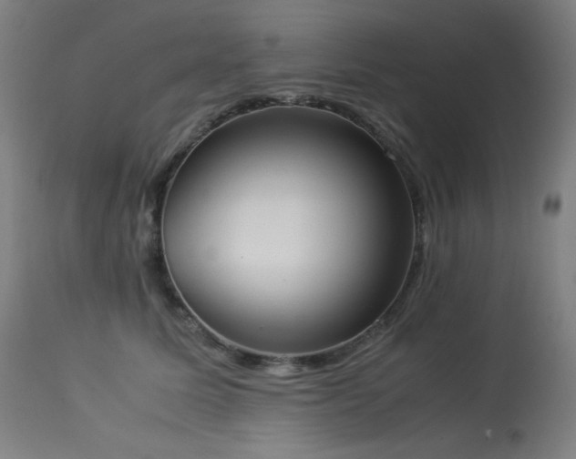X0000114170611200910081524