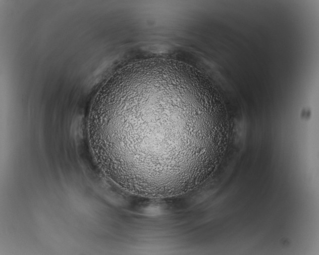 X0000114170612200910081524