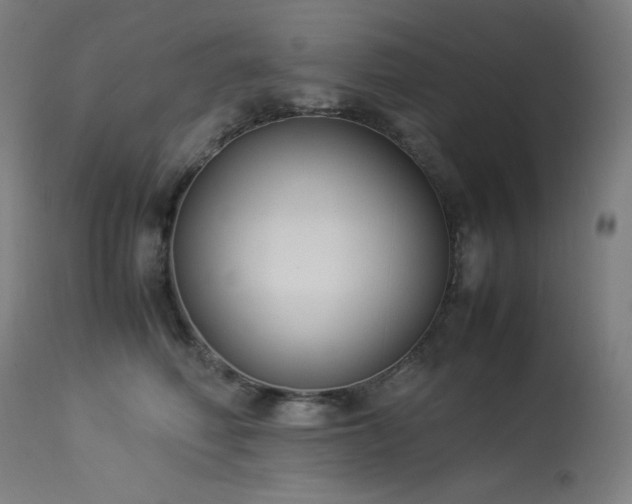 X0000114170614200910081524