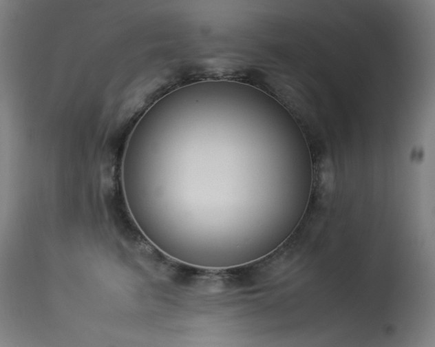 X0000114170615200910081524