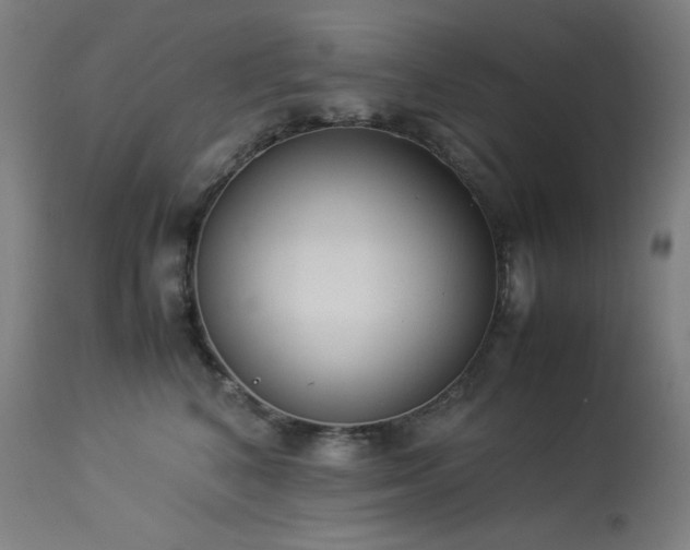 X0000114170616200910081524