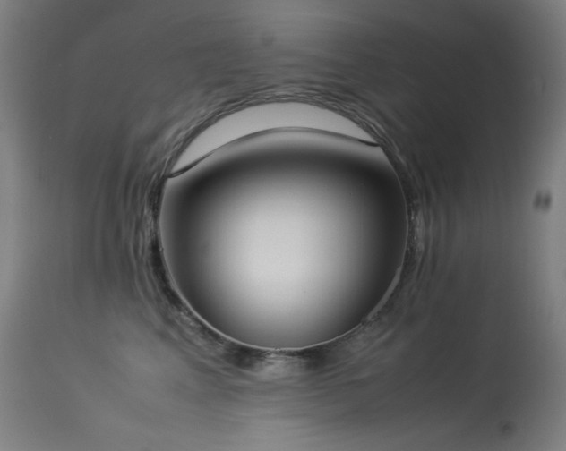 X0000114170617200910081524