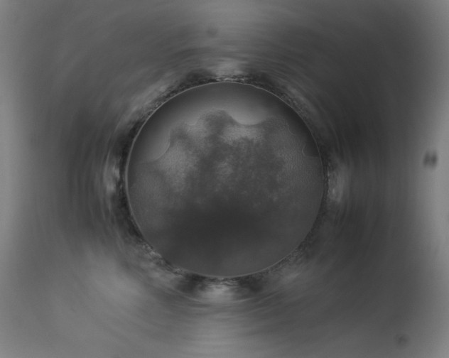 X0000114170618200910081524