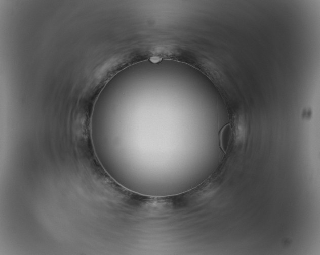 X0000114170619200910081524