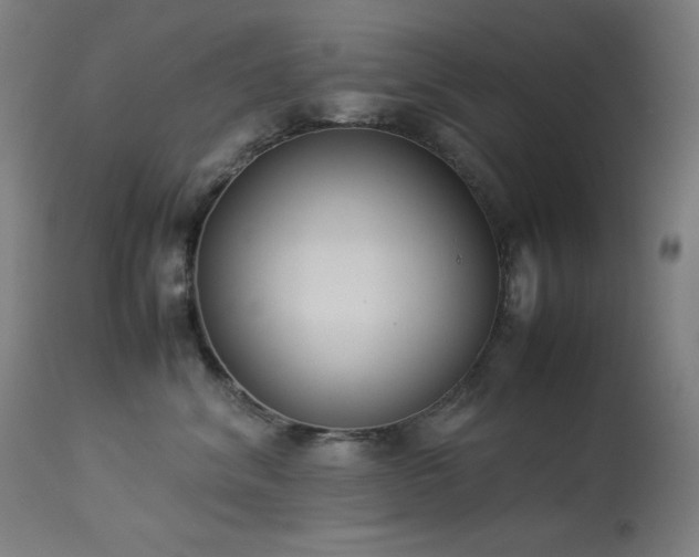 X0000114170620200910081524
