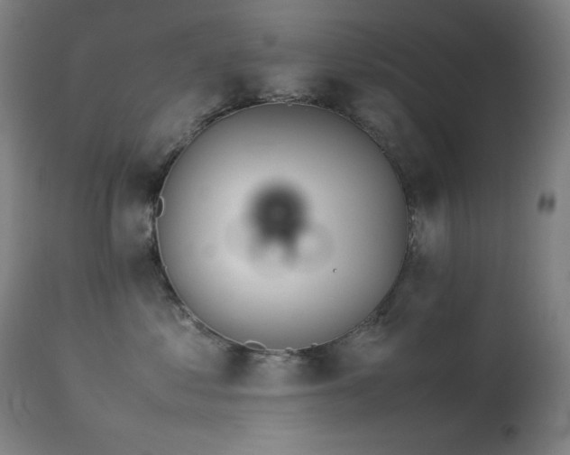 X0000114170621200910081524