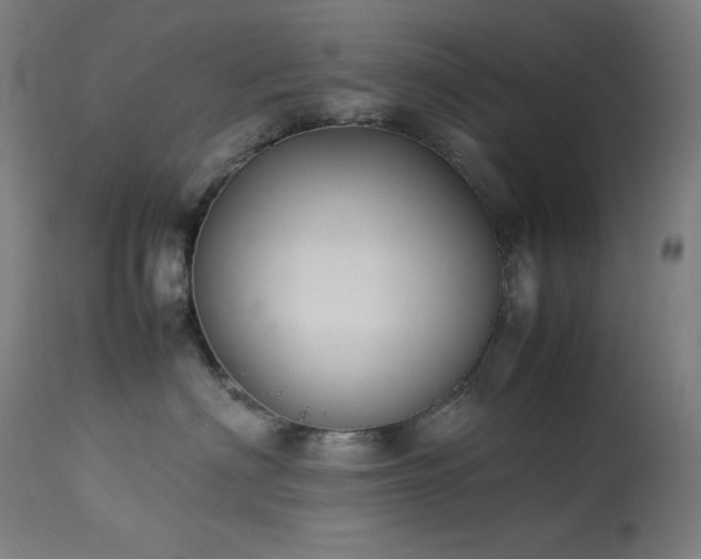 X0000114170622200910081524