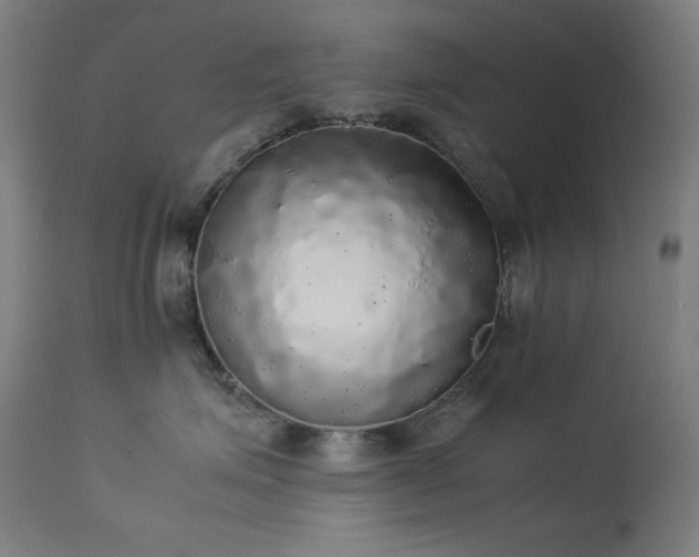 X0000114170623200910081524