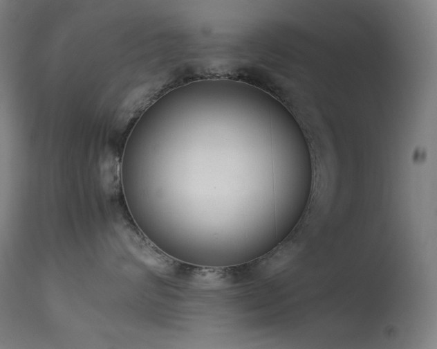 X0000114170624200910081524