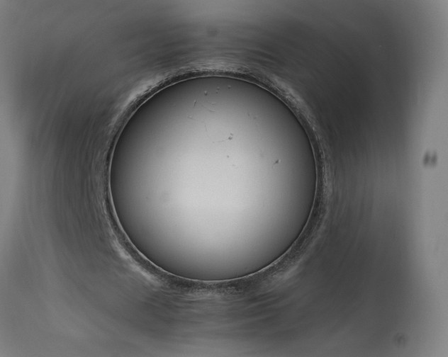 X0000114170625200910081523