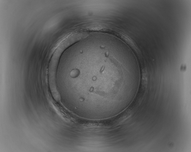 X0000114170626200910081523