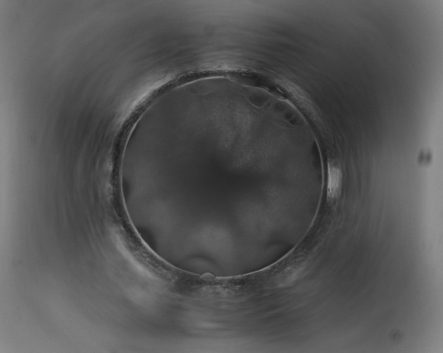 X0000114170627200910081523