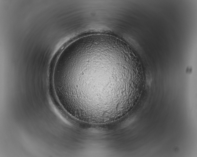 X0000114170630200910081523