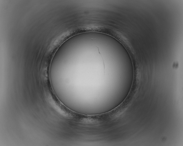 X0000114170633200910081523