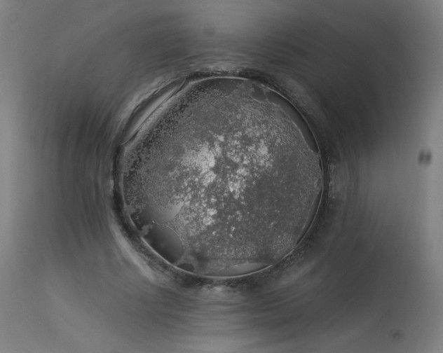 X0000114170634200910081523