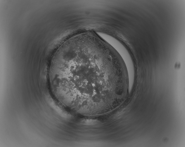 X0000114170637200910081523
