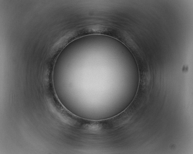 X0000114170639200910081523