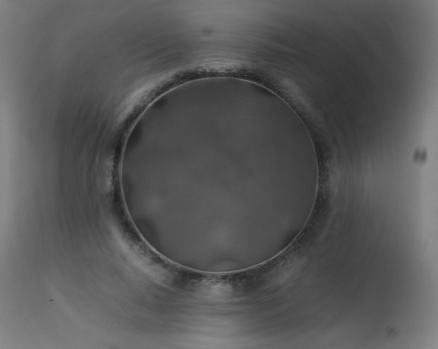 X0000114170640200910081523
