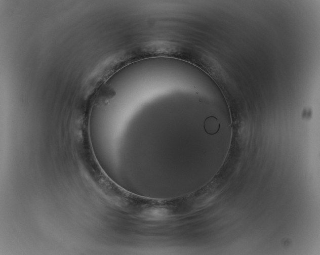 X0000114170643200910081523