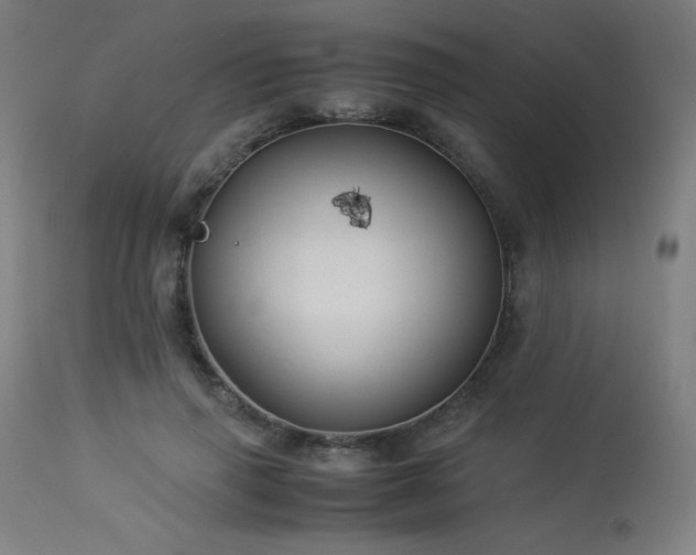 X0000114170645200910081524