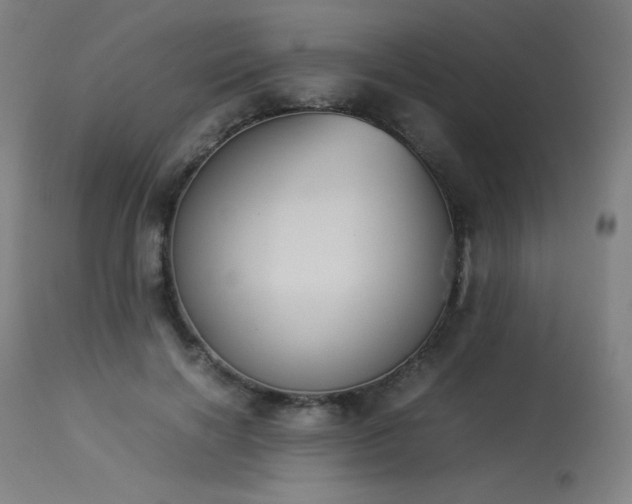 X0000114170646200910081524