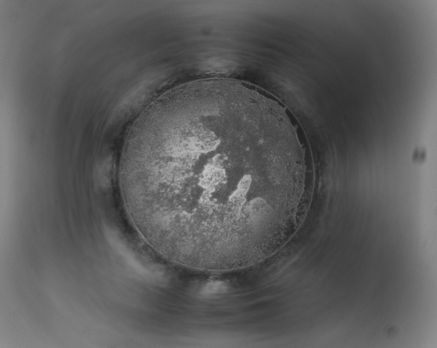 X0000114170647200910081524