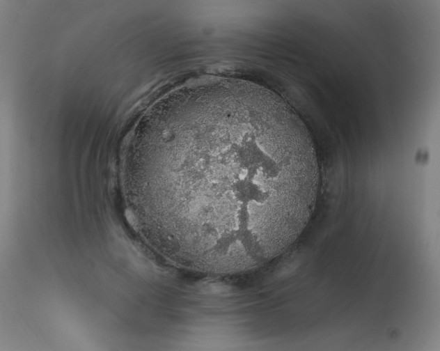 X0000114170648200910081524